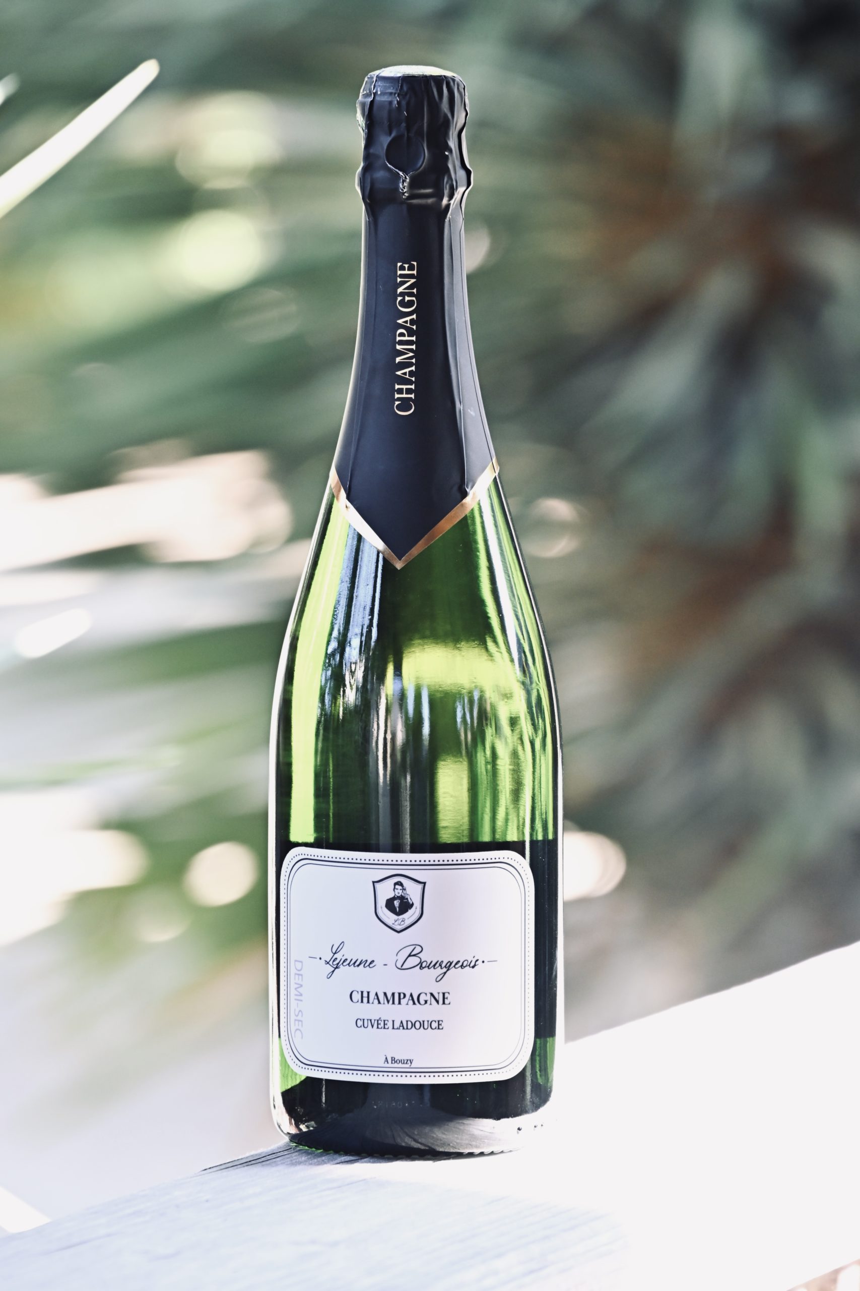 LOV_E0140 Champagne le jeune Bourgeois Cuvée Ladouce